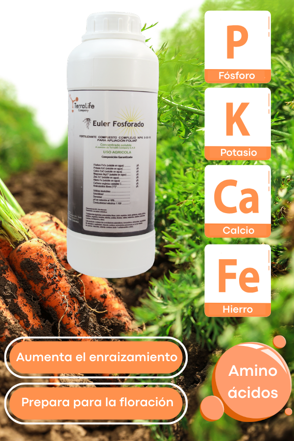 Euler Fosforado - Fertilizante Rico en Fósforo